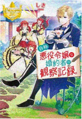 动漫acg 作品《第五季节的邮差》竖版海报
